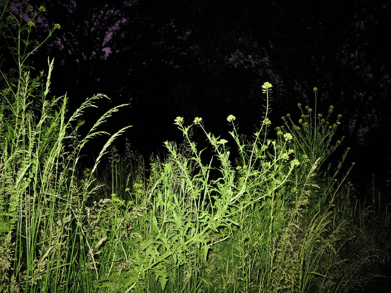 Luisa Richter Portfolio Bild